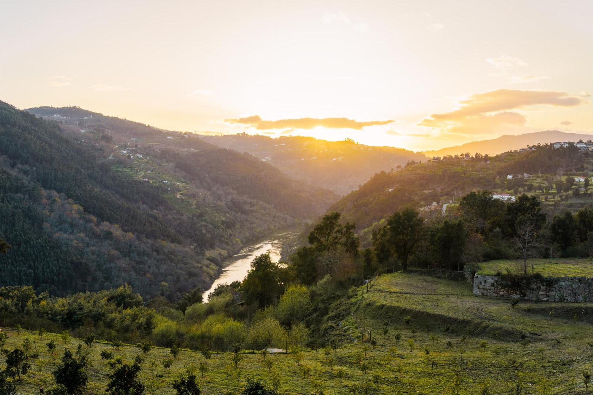 Javardo - Family House - Douro Penha Longa Εξωτερικό φωτογραφία
